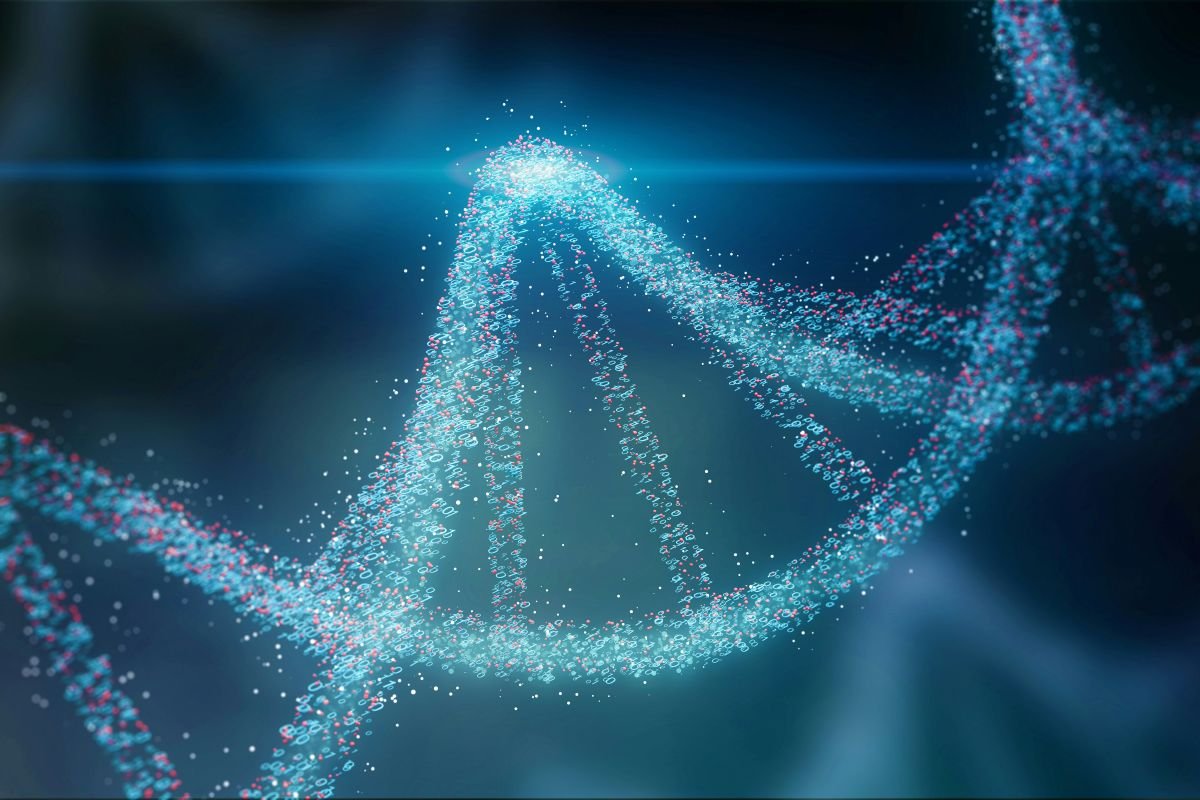 Cellular Level
