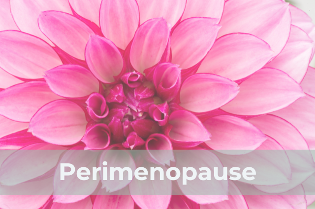 Perimenopause MS